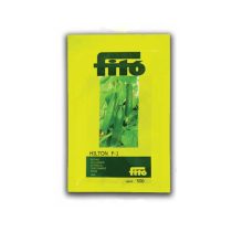 بذر خیار هیلتون شرکت فیتو در ایران