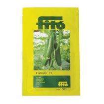 خیار هیبرید کادیار شرکت فیتو اسپانیا