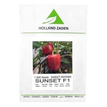 فلفل قرمز شرکت هلند زادن ساخت پرو