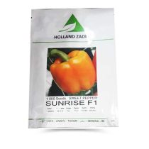 بذر فلفل دلمه گلخانه‌ ای هیبرید نارنجی سان ‌رایز هلندزادن