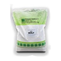 بذر نخود فرنگی استاندارد ولف