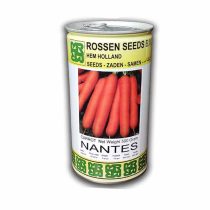 بذر-هویج-استاندارد-نانتس