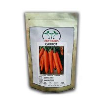 بذر هویج هیبرید شاینی