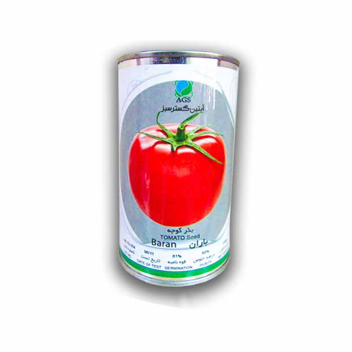 بذر گوجه استاندارد باران آبتین گستر 1 بذر-گوجه-استاندارد-باران
