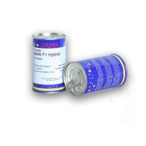 گوجه آبان شرکت استار سیدز هلند