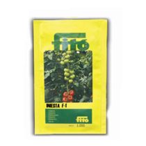 بذر گوجه هیبرید اینیستا