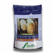 بذر هندوانه استاندارد کریمسون سوئیت