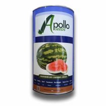 بذر-هندوانه-هیبرید-سفید-مگا