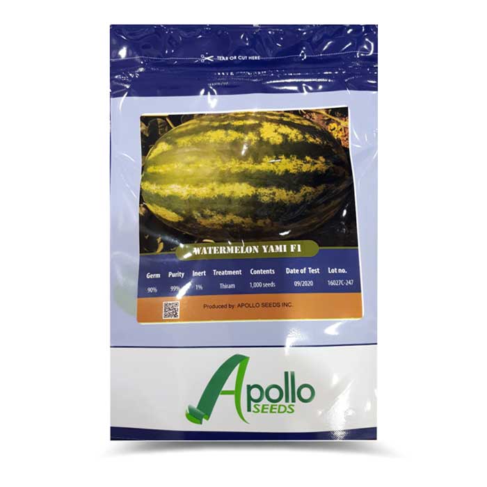 watermelon yami f1 apollo seeds