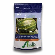 بذر هندوانه هیبرید یلدا آپولو