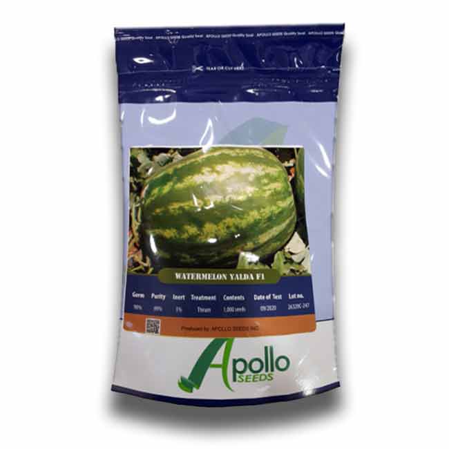 بذر هندوانه هیبرید یلدا آپولو