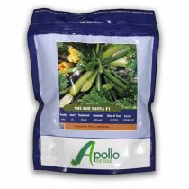 بذر کدو هیبرید یسنا آپولو سیدز