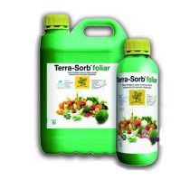 تراسورب برگی