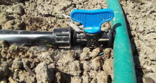 شیر انشعاب قطره ای 12 به تیپ بهاران قطره