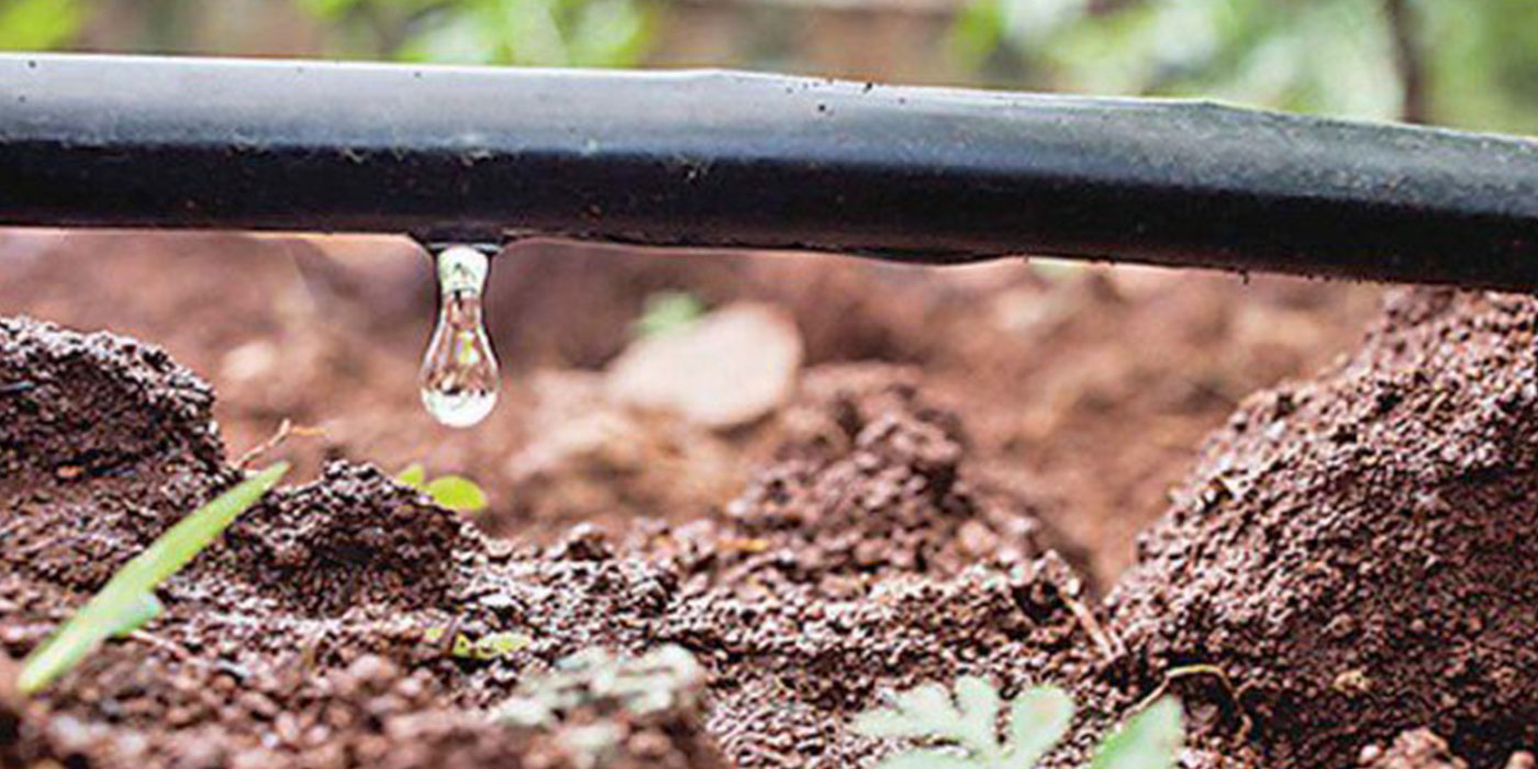 خرید و قیمت روز نوار تیپ + راهنمایی خرید نوار تیپ 6 نوار آبیاری قطره ای