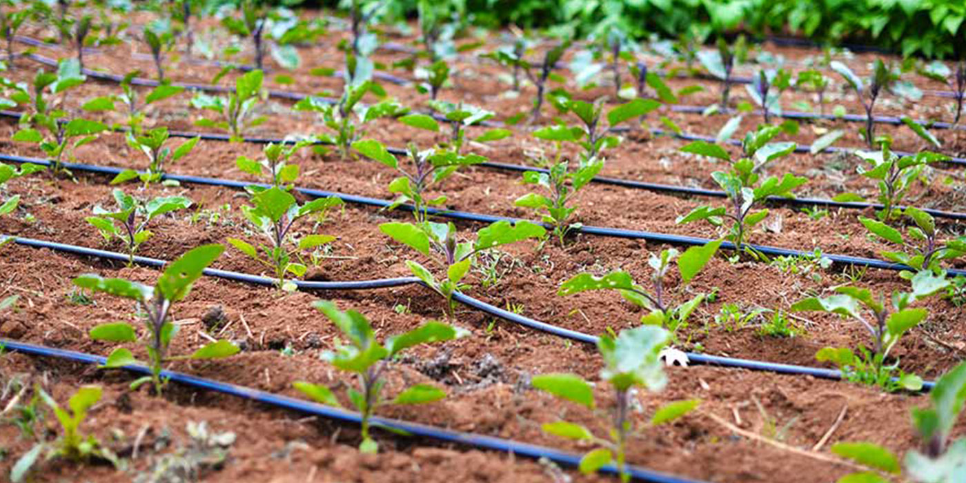 خرید و قیمت روز نوار تیپ + راهنمایی خرید نوار تیپ 5 نوار قطره ای