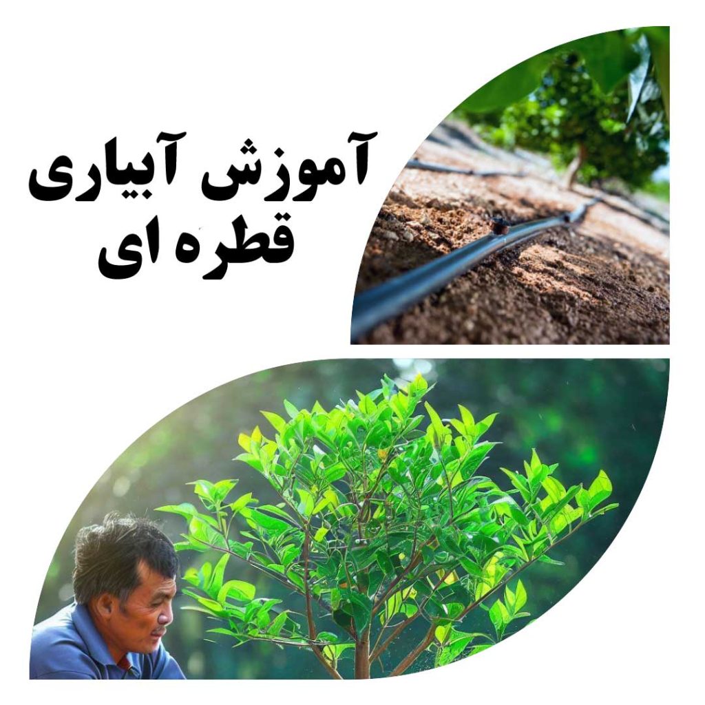 روش اجرایی آبیاری قطره ای