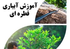 روش اجرایی آبیاری قطره ای