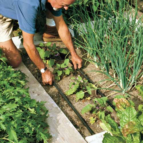 آموزش نصب آبیاری قطره ای