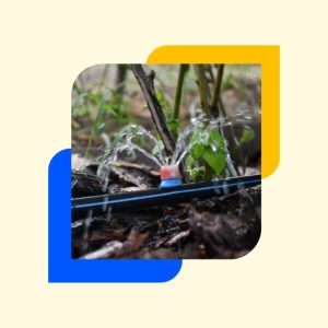 عکس قطره چکان