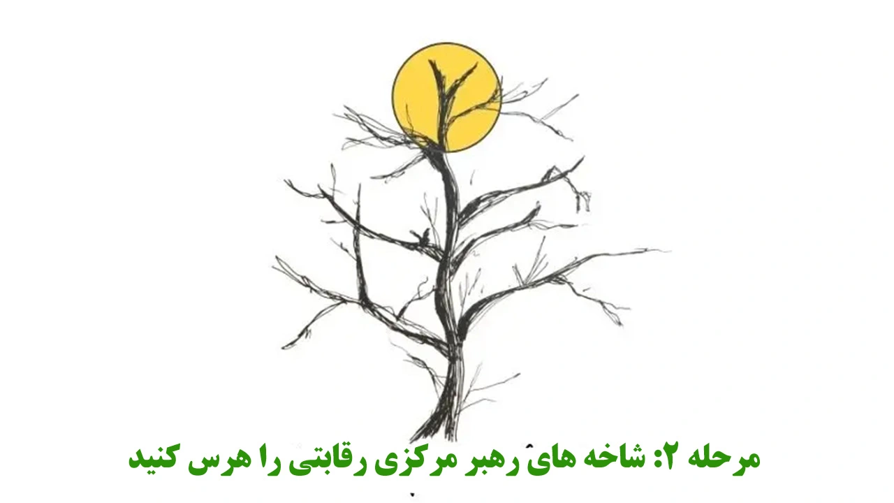 شاخه چین کردن درخت سیب برای هرس