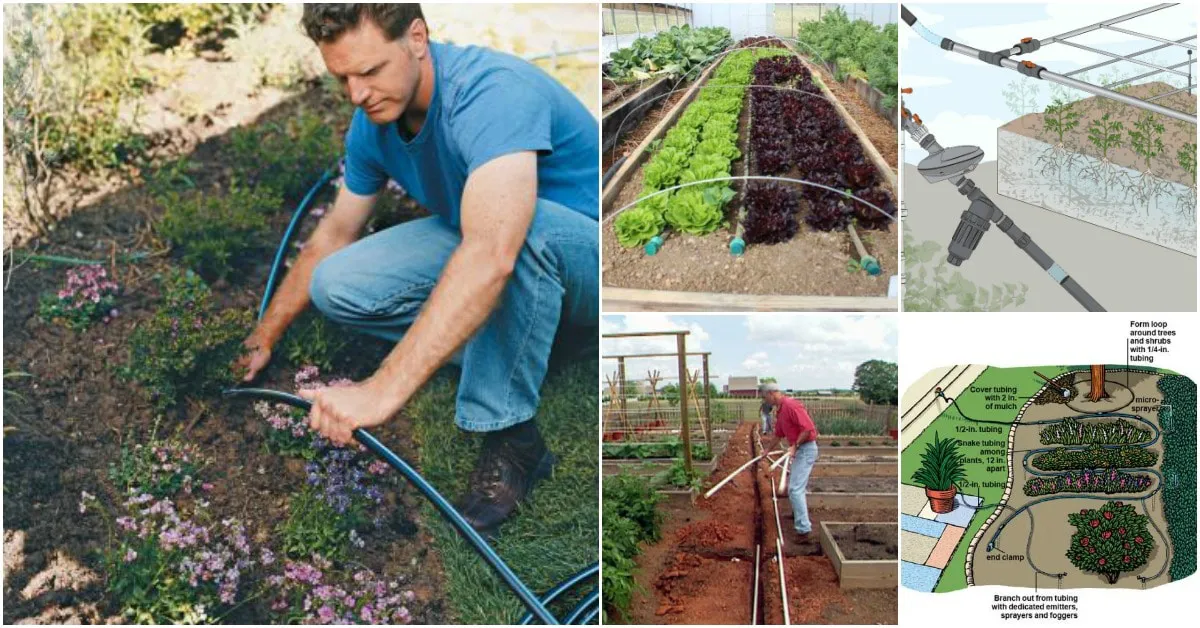 سیستم آبیاری قطره ای خانگی