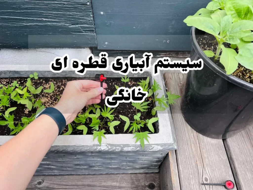 سیستم آبیاری قطره ای خانگی