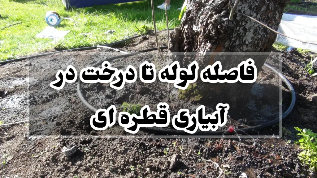 فاصله لوله تا درخت در آبیاری قطره ای
