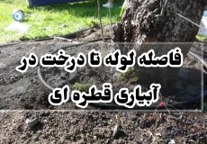 فاصله لوله تا درخت در آبیاری قطره ای