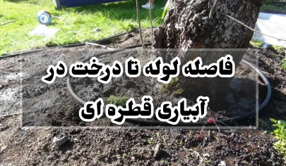 فاصله لوله تا درخت در آبیاری قطره ای