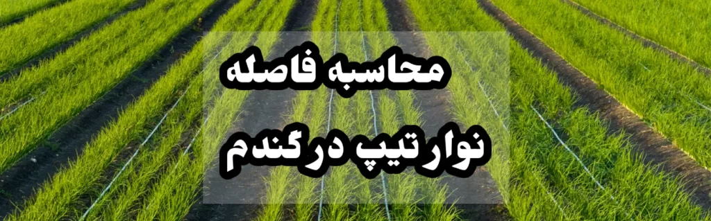 فاصله نوار تیپ در گندم