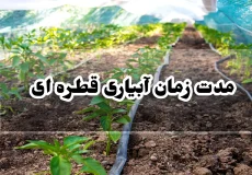 مدت زمان آبیاری قطره ای