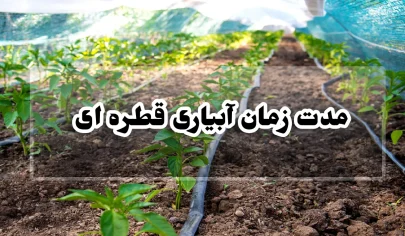 مدت زمان آبیاری قطره ای
