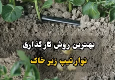 نوار تیپ زیر خاک