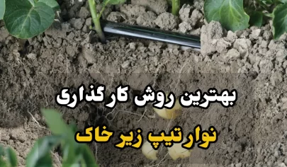 بهترین روش کار گذاشتن نوار تیپ زیر خاک 7 نوار تیپ زیر خاک