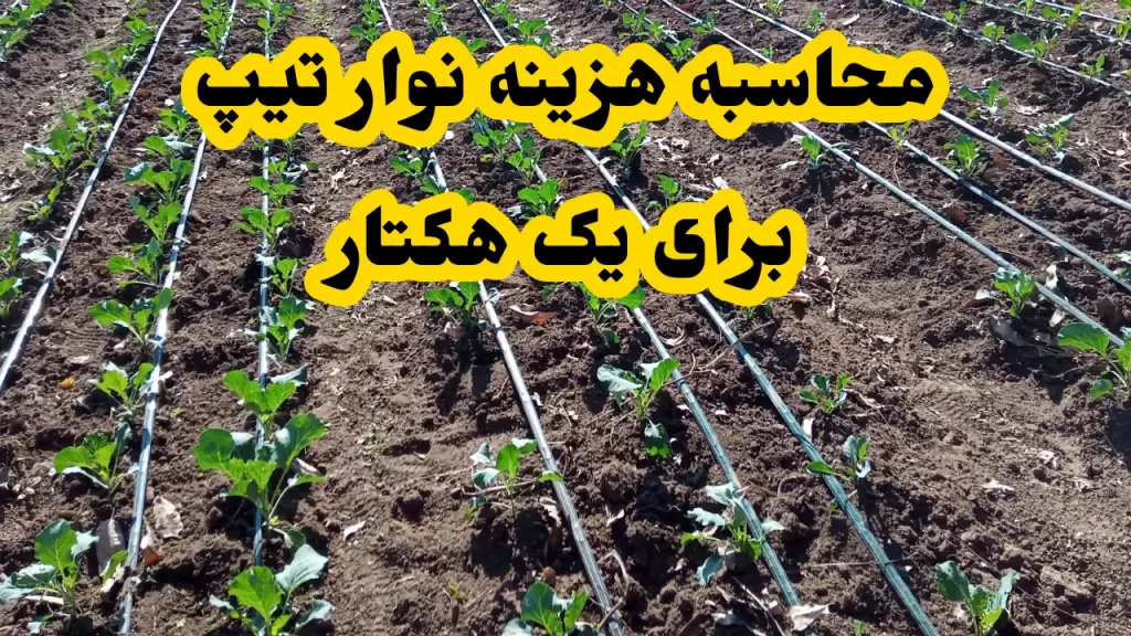 محاسبه هزینه نوار تیپ برای یک هکتار کشاورزی