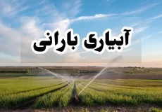 آبیاری بارانی