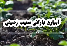 آبیاری بارانی سیب زمینی