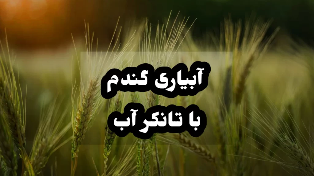 آبیاری گندم با تانکر آب