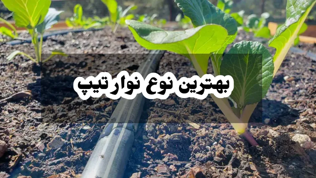 بهترین نوع نوار تیپ 1 بهترین نوع نوار تیپ