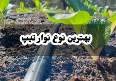 بهترین نوع نوار تیپ