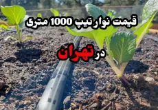 قیمت نوار تیپ 1000 متری تهران