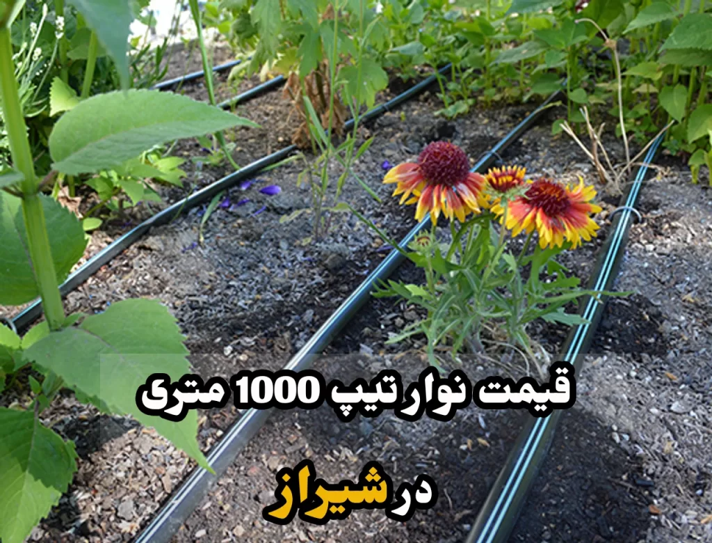 قیمت نوار تیپ 1000 متری شیراز