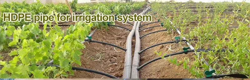 لوله ارزان برای آبیاری قطره ای