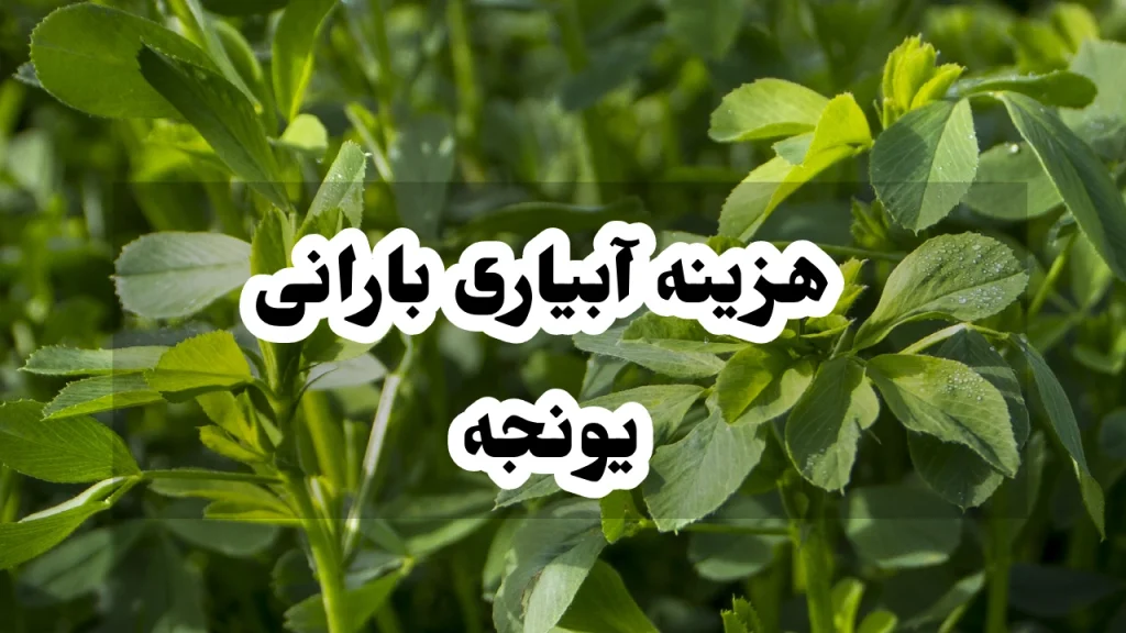 هزینه آبیاری بارانی یونجه
