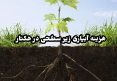 هزینه آبیاری زیر سطحی در هکتار
