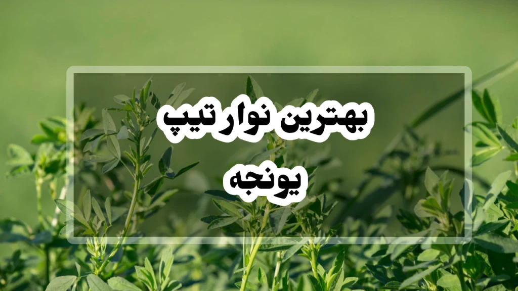 بهترین نوار تیپ یونجه