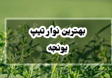 بهترین نوار تیپ یونجه