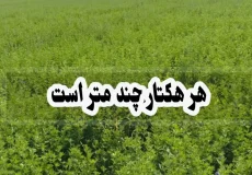 هر هکتار چند متر است