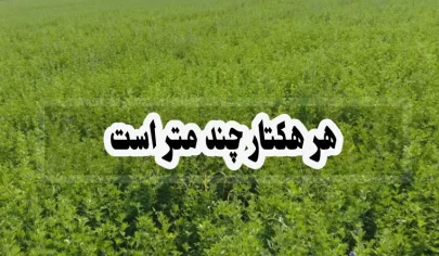 هر هکتار چند متر است